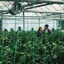 家具 生活空間的靈魂與藝術